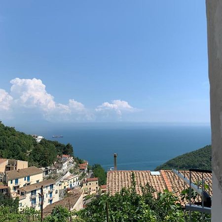 Villa Pippo'S House Vietri Exterior foto