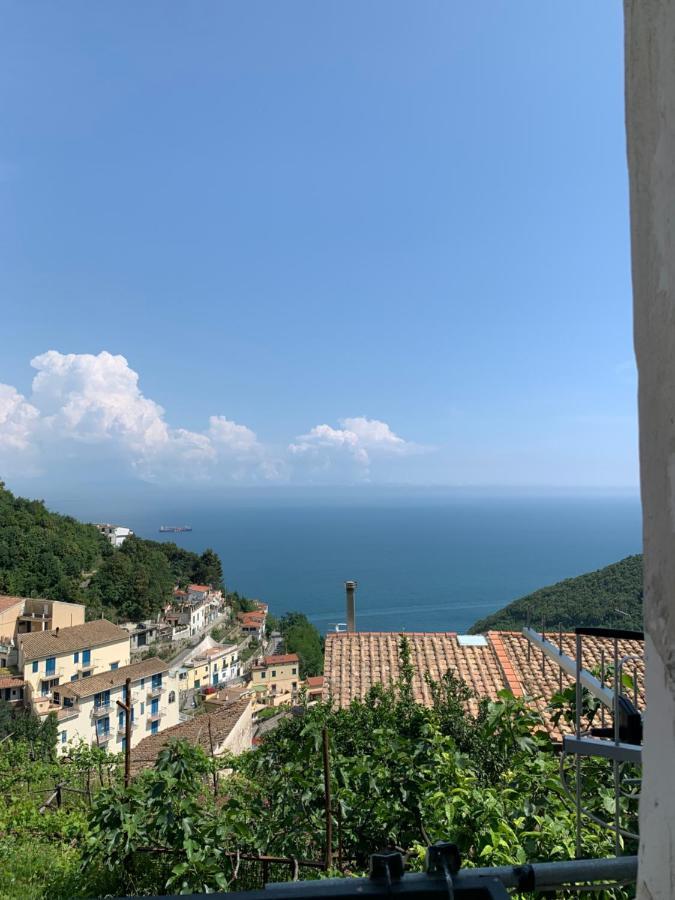 Villa Pippo'S House Vietri Exterior foto